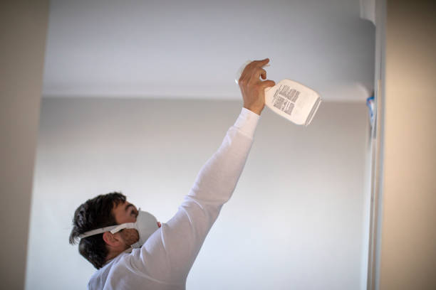 Best Residential Mold Removal  in Berkley, MI