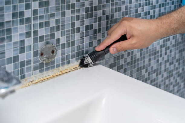 Best Emergency Mold Removal  in Berkley, MI