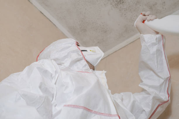 Best Commercial Mold Removal  in Berkley, MI