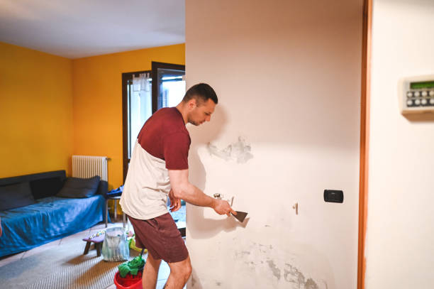Best Water Damage Restoration  in Berkley, MI